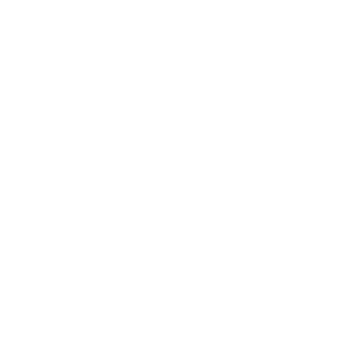 web experts
