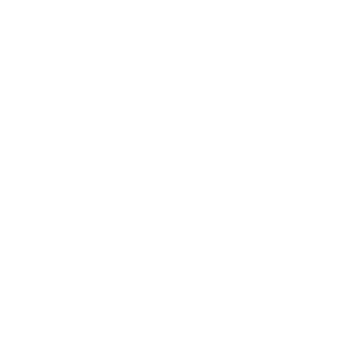 web experts